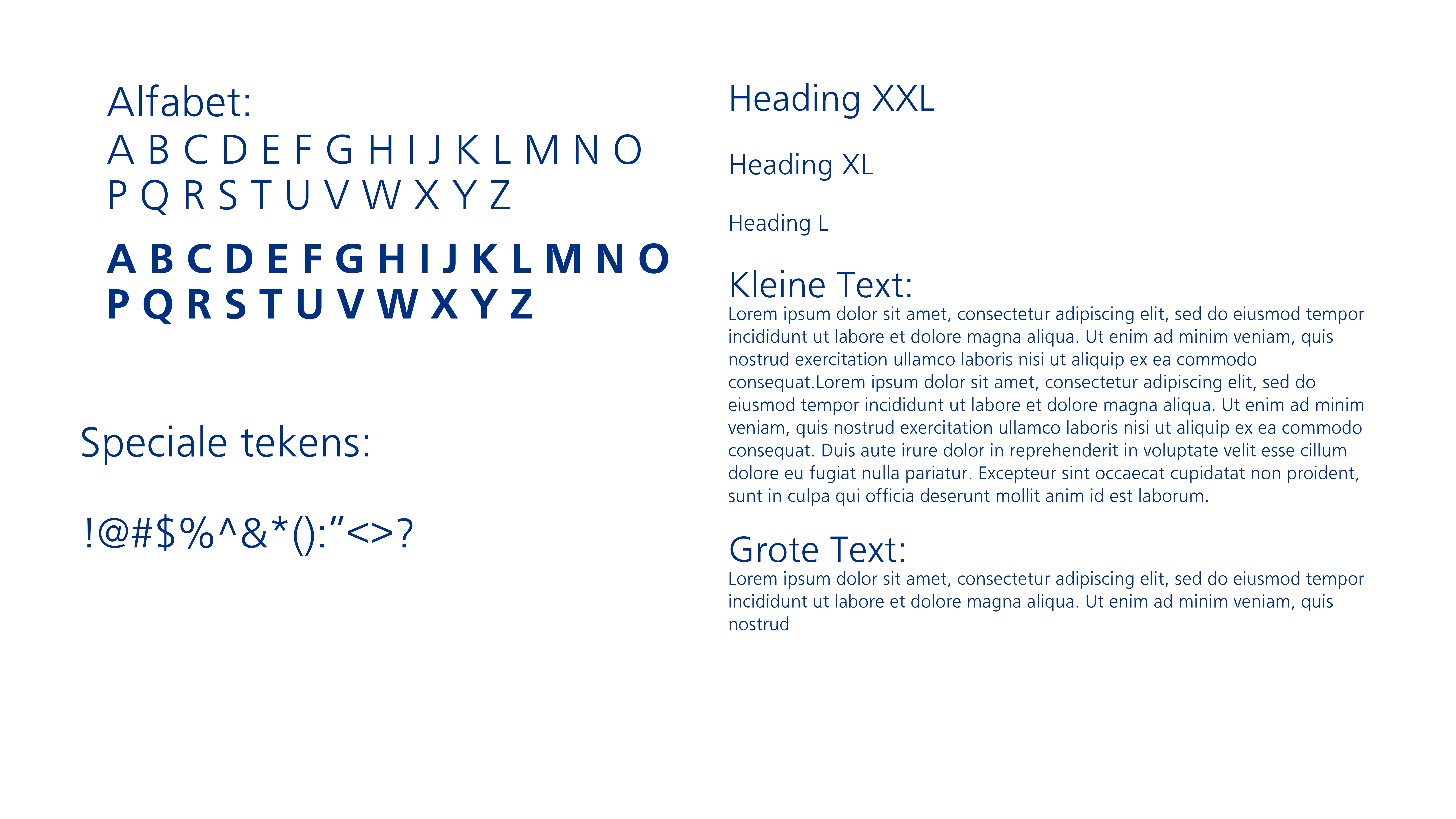 afbeelding van een letterproef. Met meerdere letterversies en variaties.